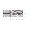 Rotec HSS Kernboor Silver-line, Weldon