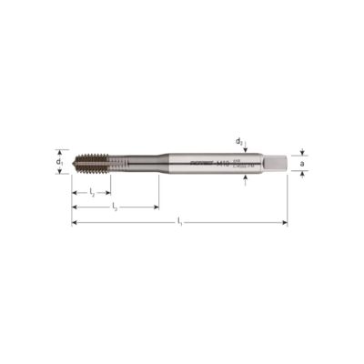 Rotec HSS-E PM Roltap, DIN 371, +TICN